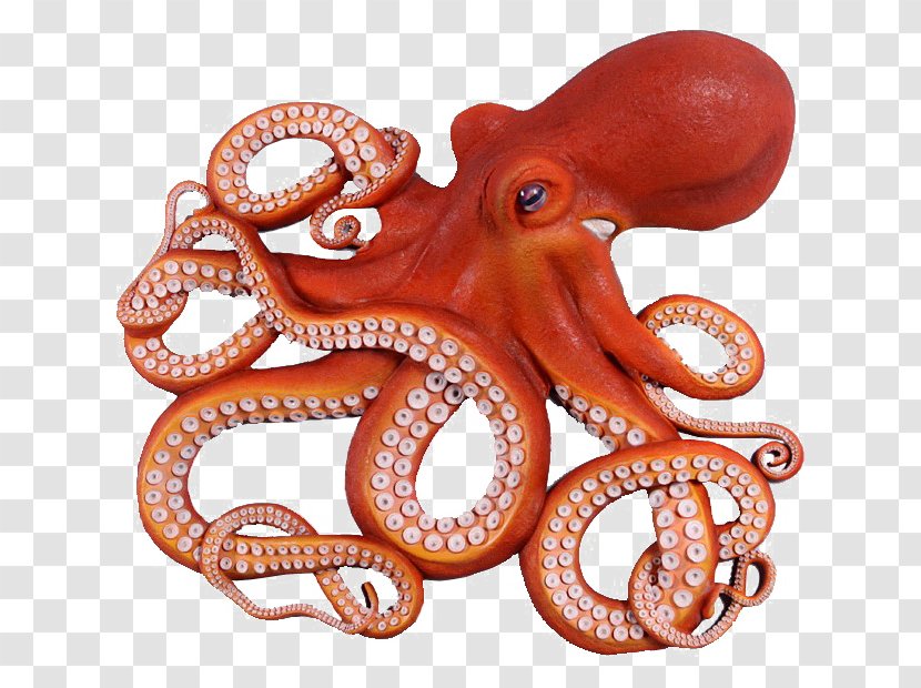 Giant Pacific Octopus Clip Art Fishing Drawing - Cephalopod Transparent PNG