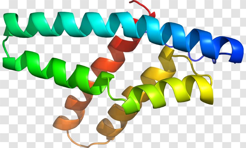 Clip Art Organism Line Product - Methylmalonylcoa Transparent PNG