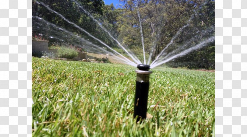 Lawn Grassland Ecosystem Land Lot Energy - Water-sprinkling Festival Transparent PNG