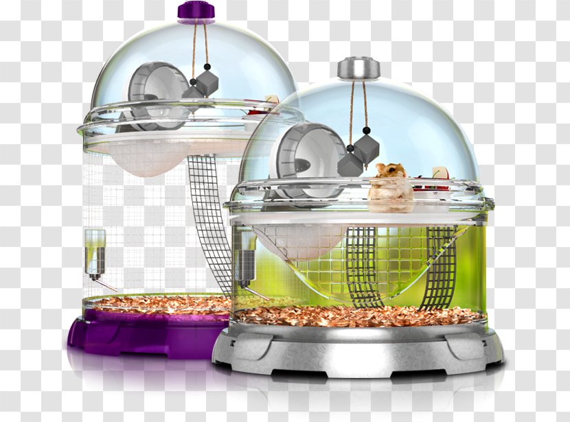 Golden Hamster Guinea Pig Rodent Pet - Muroids - Cage Transparent PNG