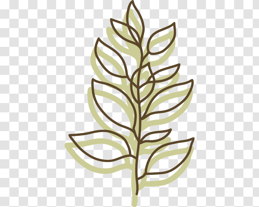 Twig Cartoon Leaf Plant Stem Branch Transparent PNG