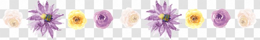 Hair Coloring Design Graphics Font Line - Flowering Plant - Horizontal Flowers Transparent PNG