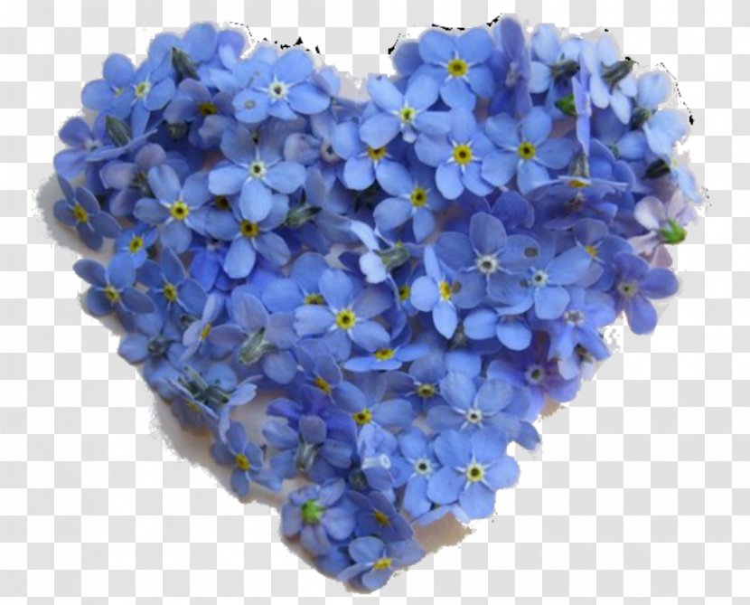 Flower Blue Rose Color Heart - Clothing Transparent PNG