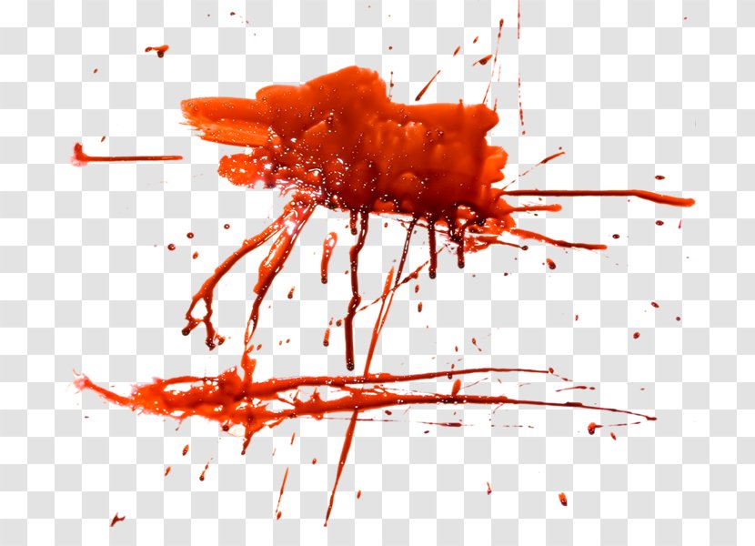 Download Icon - Blood - Image Transparent PNG