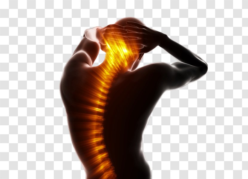 Massage Chiropractic Therapy Surgery Neck Pain - Management - Back Transparent PNG