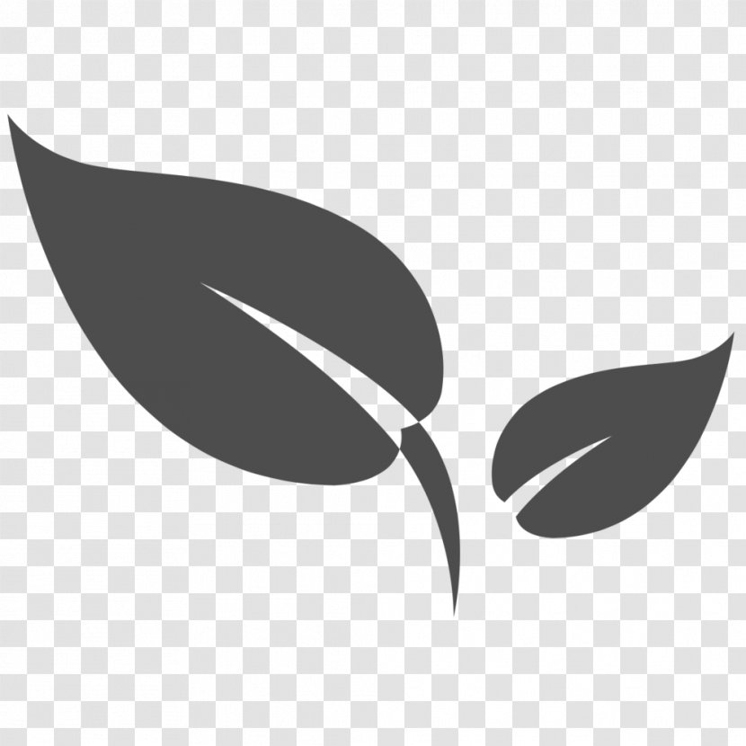 Logo Leaf Desktop Wallpaper Font - White Transparent PNG