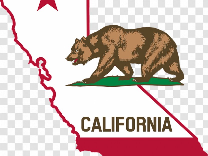 Flag Of California The United States Governor Law Transparent PNG