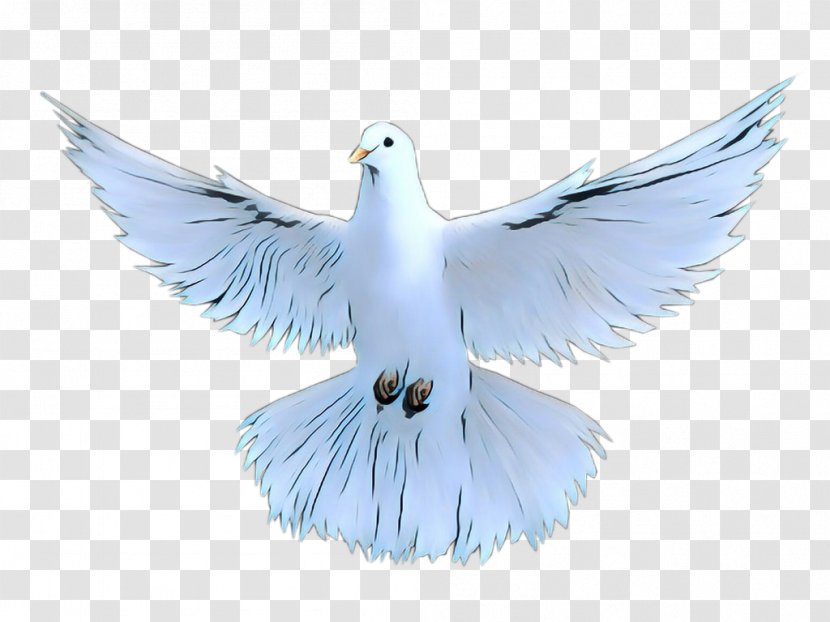 Dove Bird - Ornament Peace Symbols Transparent PNG