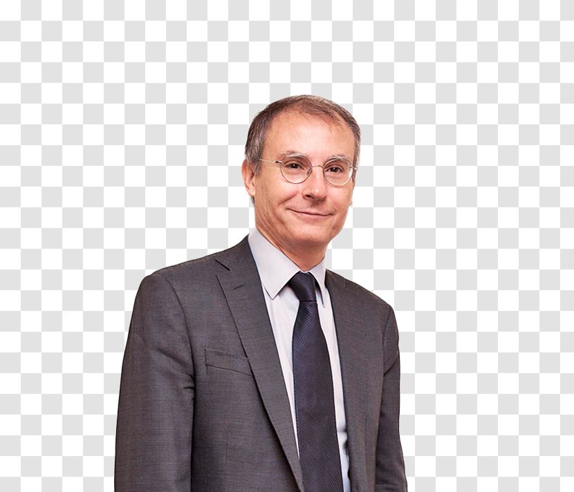 Miquel Roca Management Business Government Of India Finance - Necktie Transparent PNG