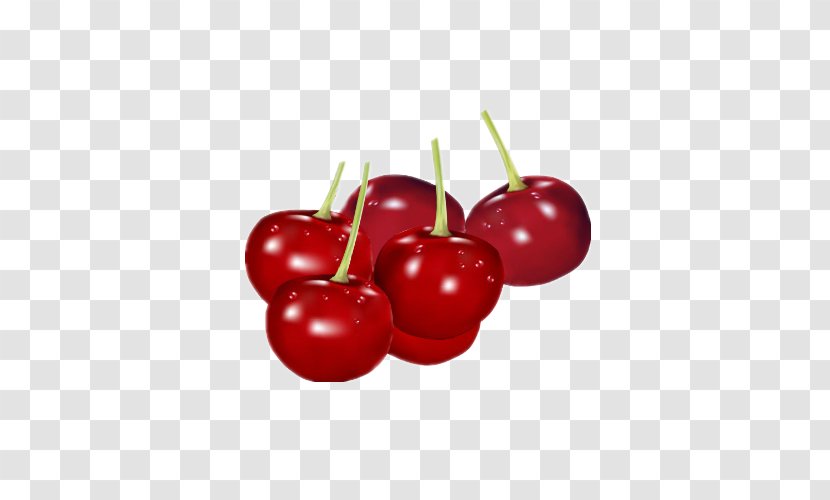 Cherry Fruit Flavor Clip Art - Plant Transparent PNG