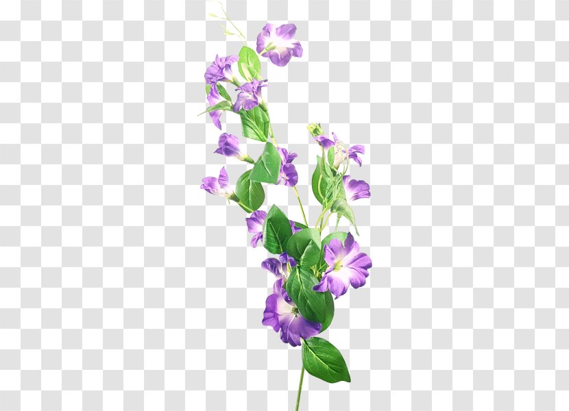 Flower Lavender Violet Lilac Floral Design - Petal -painted Material Transparent PNG