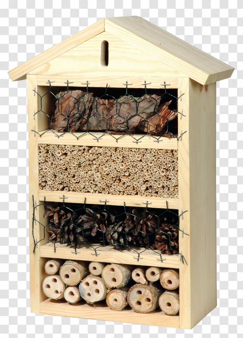 Canton Of Glarus Insect Hotel Bee Chrysoperla Carnea - Salzburg Transparent PNG