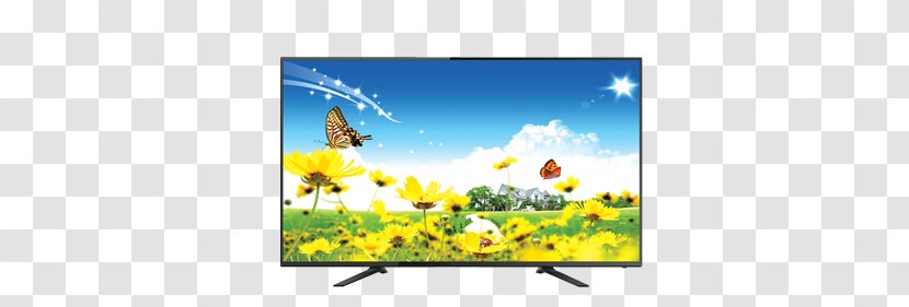 Desktop Wallpaper Screensaver Flower Display Resolution - Television Transparent PNG