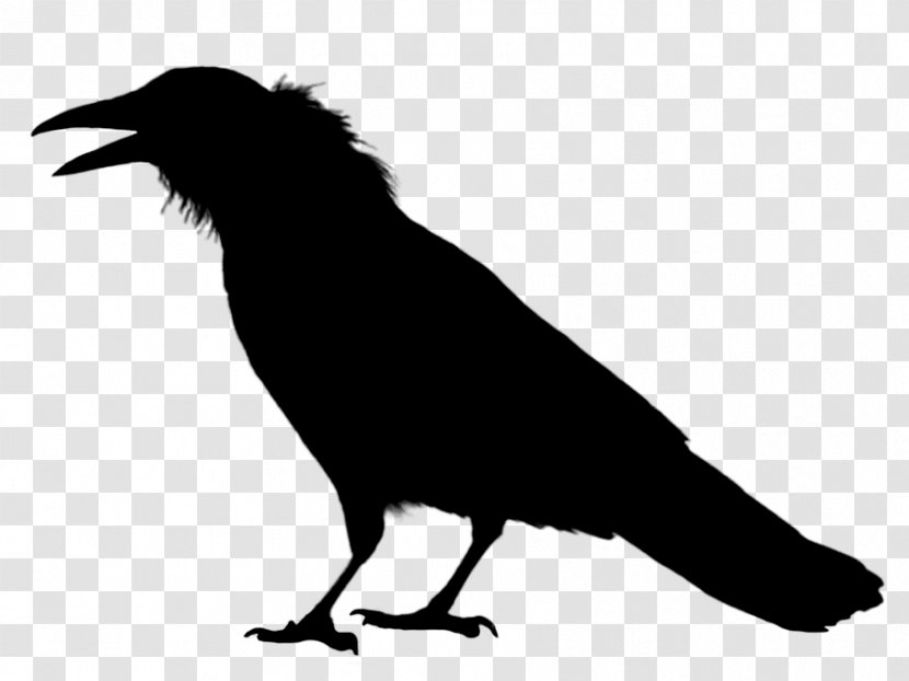 Rook Crow Image Common Raven - Wildlife - Crowlike Bird Transparent PNG