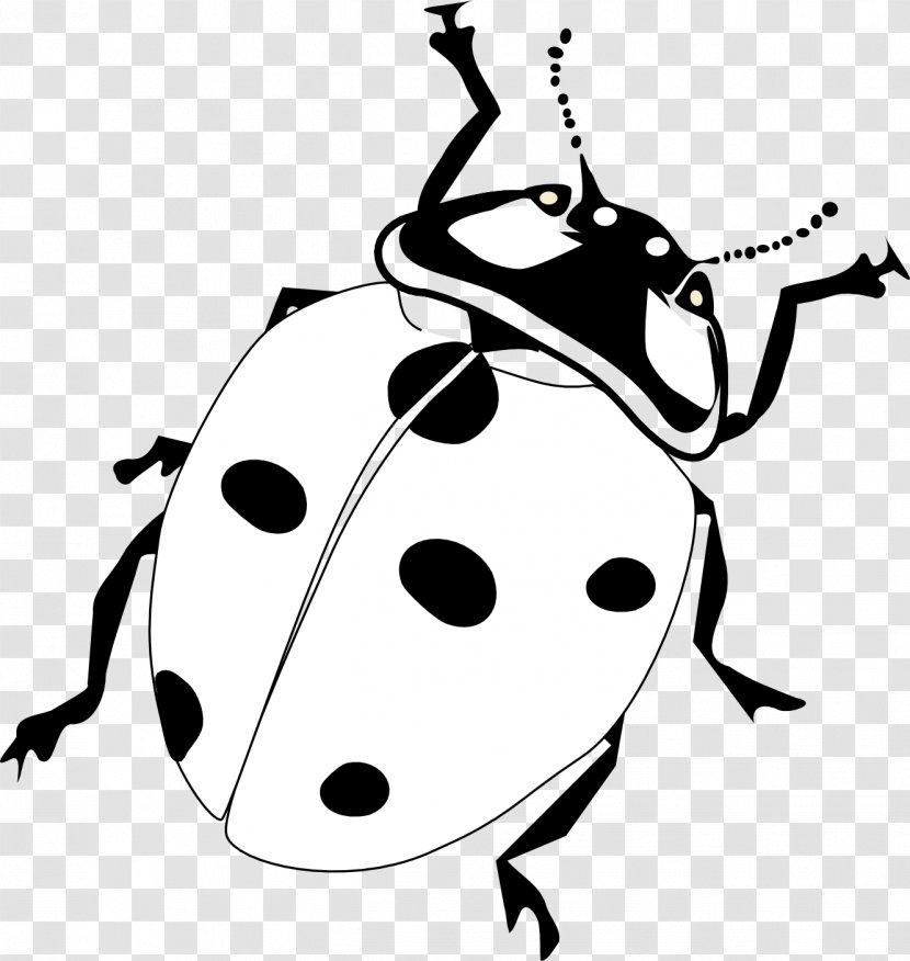 Ladybird Drawing Clip Art - Monochrome Photography - Ladybug Transparent PNG