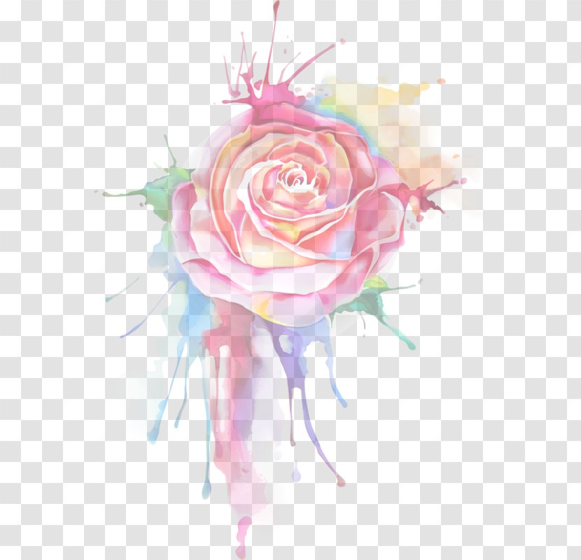 Garden Roses Floral Design Watercolor Painting Drawing - Rainbow Rose Transparent PNG