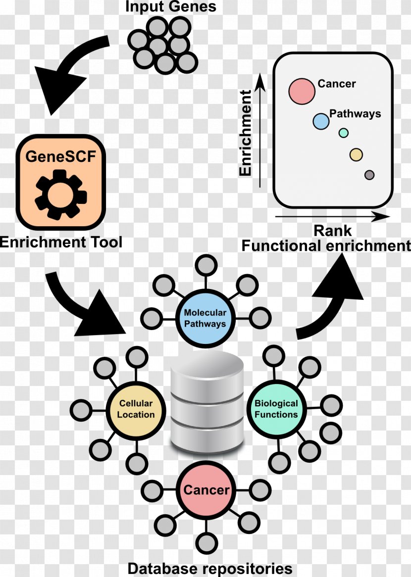 Gene Set Enrichment Analysis Ontology DAVID RNA-Seq - Human Behavior - Statistics Transparent PNG
