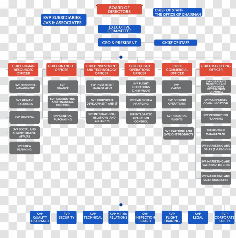 Organizational Structure Chart Business Turkish Airlines - Airline Transparent PNG