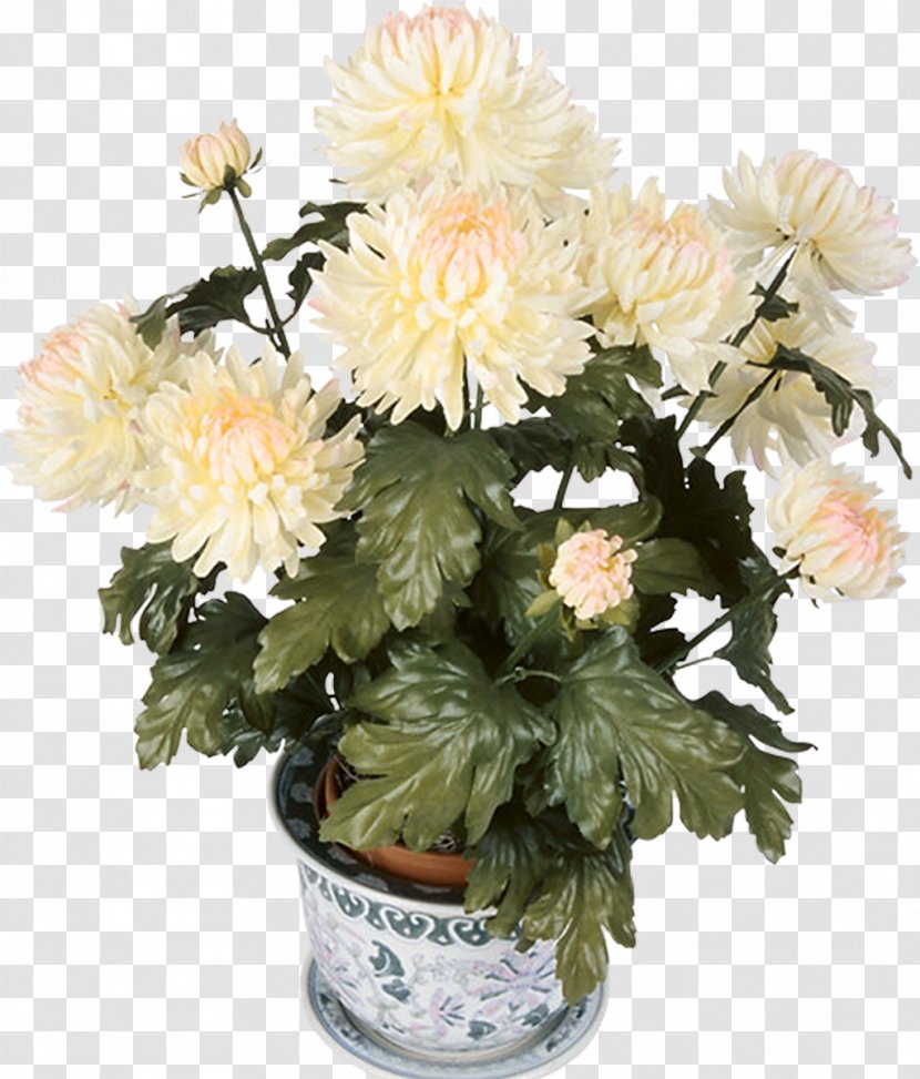 Groveland Daytona Beach Kuhn Flowers Chrysanthemum - Houseplant Transparent PNG