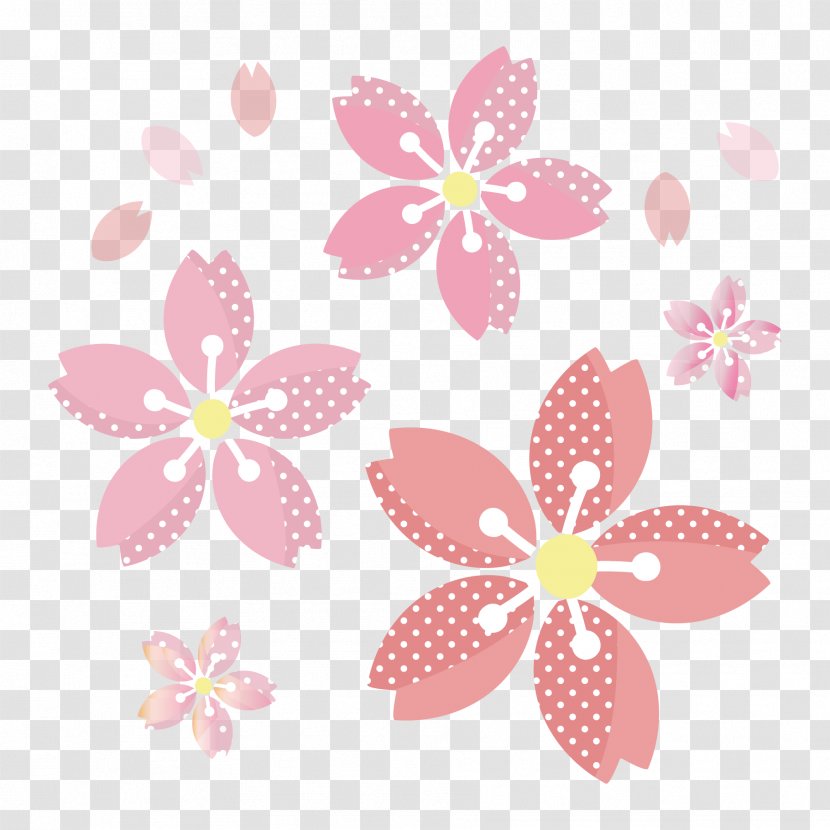 Cherry Blossom Floral Design Book Illustration Hanami - Handcolouring Of Photographs Transparent PNG