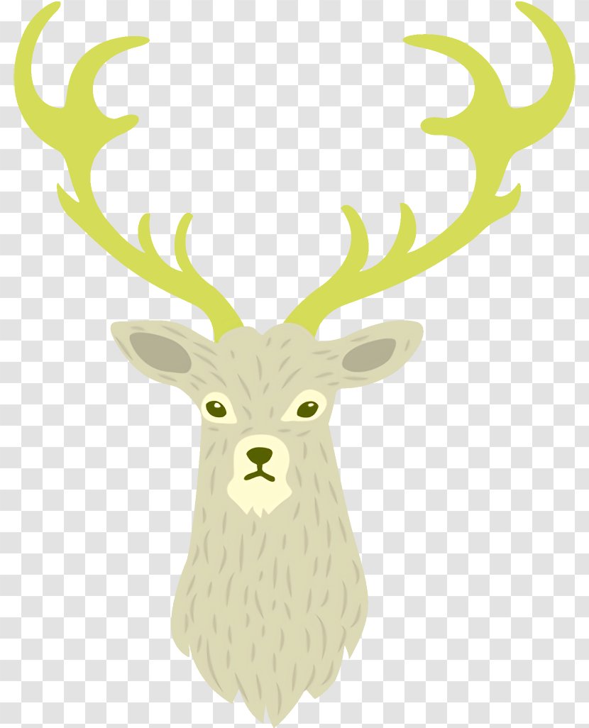 Reindeer Christmas - Wildlife Horn Transparent PNG