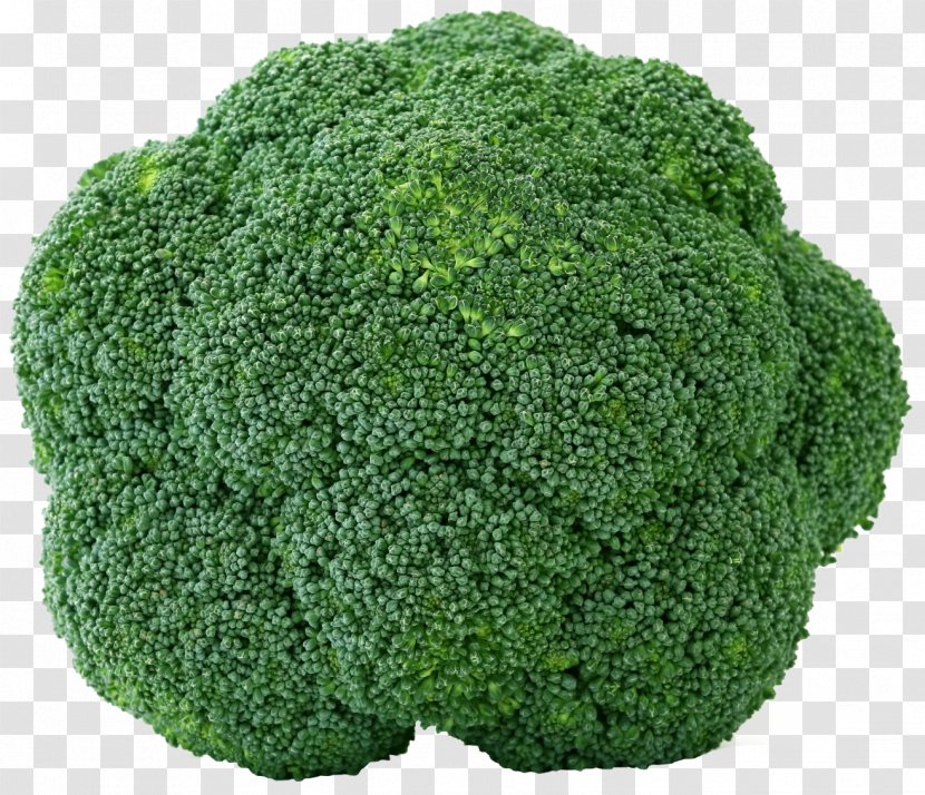 Broccoli Organic Food Indian Cuisine Vegetable Fruit - Cauliflower Transparent PNG