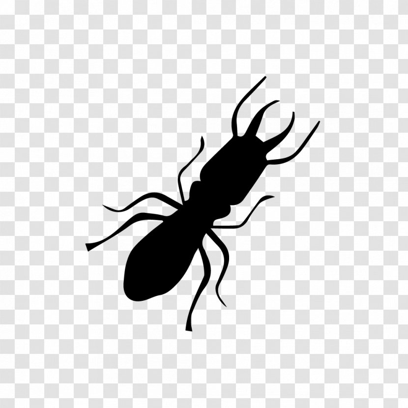 Insect Sentricon Termite Pest Ant - Bait - Trim Vector Transparent PNG