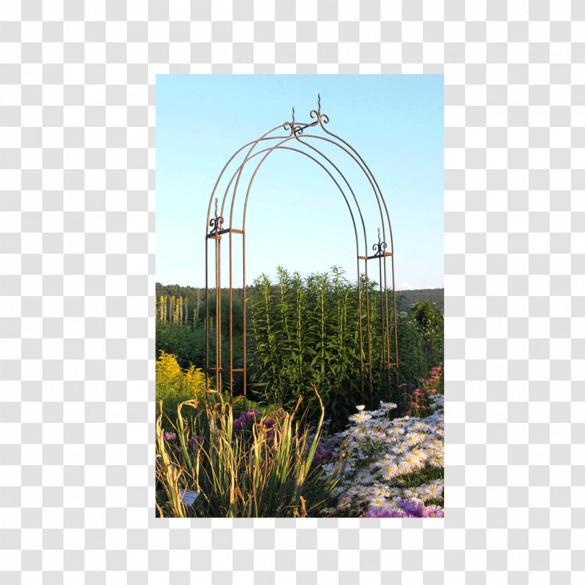 Pergola Arch Garden Trellis Gazebo - Pavilion - Gate Transparent PNG