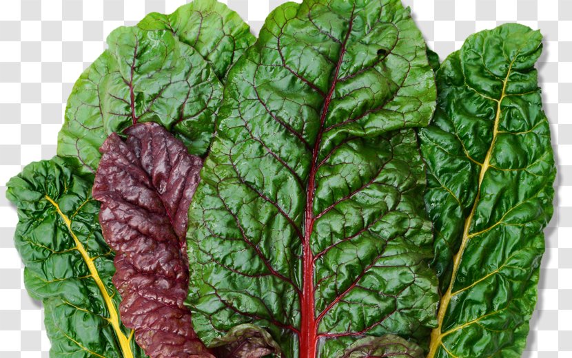 Swiss Cuisine Spanakopita Nutrient Chard Leaf Vegetable - Variety - Lettuce Transparent PNG