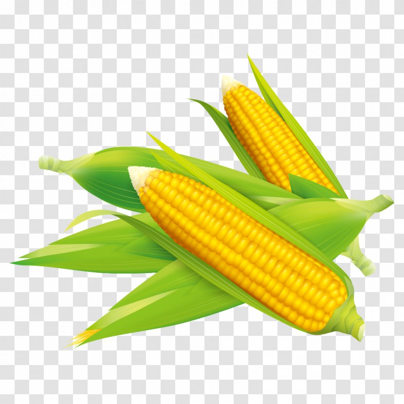 Corn On The Cob Flakes Maize Field - Ingredient Transparent PNG