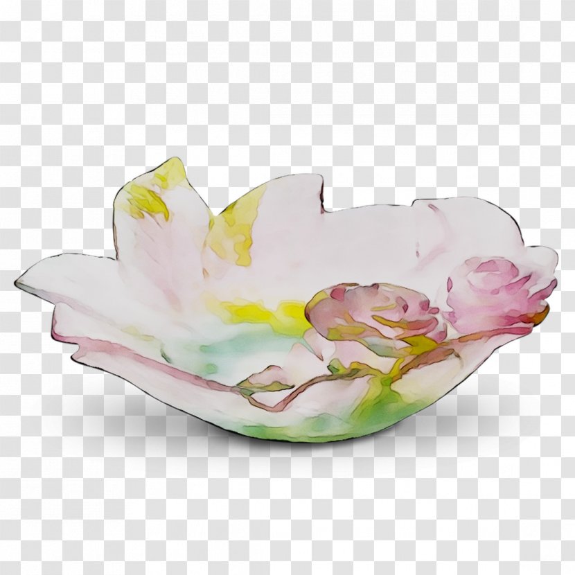 Porcelain Plate Saucer Tableware Vase - Plant Transparent PNG