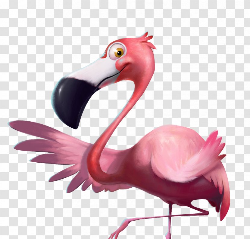 Flamingo Bird Cartoon - Organism Transparent PNG