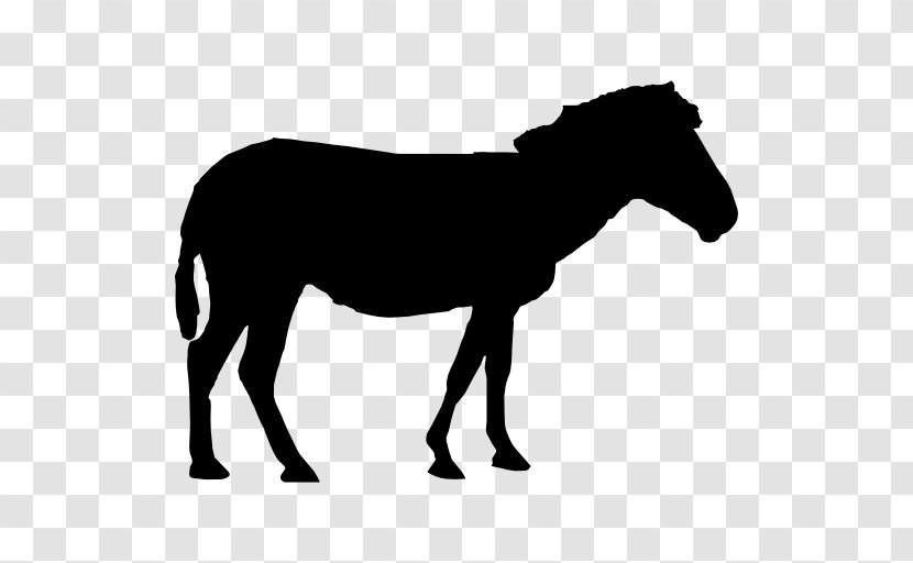 Arabian Horse Riding Pony Mustang - Grass Transparent PNG