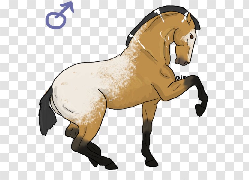 Mustang Stallion Rein Pack Animal Halter Transparent PNG