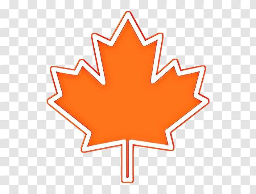 Canada Maple Leaf - Logo - Symbol Plant Transparent PNG