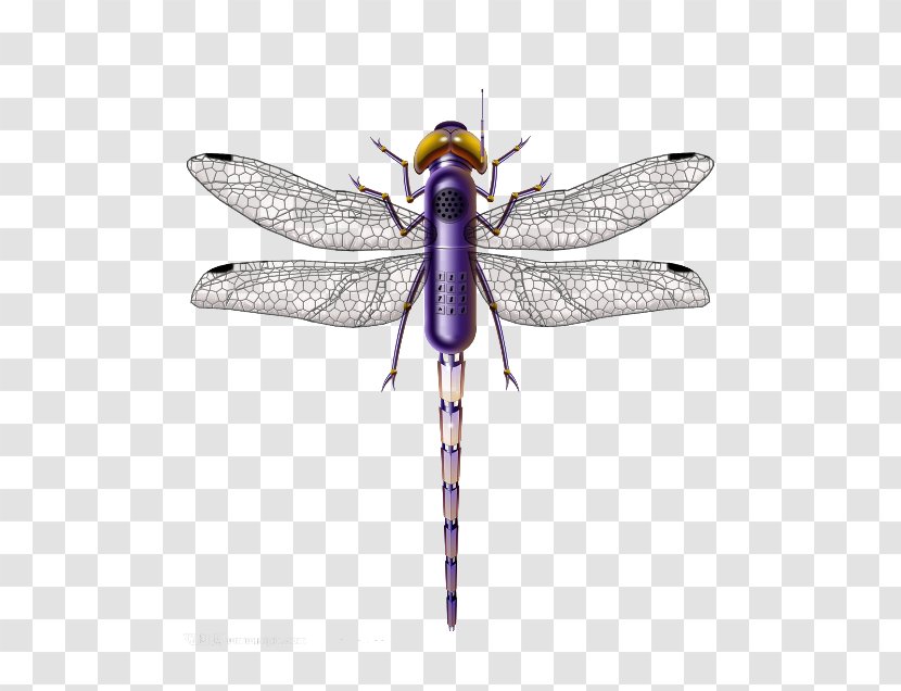Dragonfly Insect Purple - Green - Not The Same Material Picture Transparent PNG