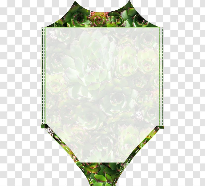 Leaf - Green - Meadow Transparent PNG