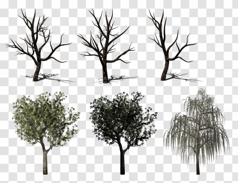 Twig Tree Wood Clip Art - Ve Transparent PNG