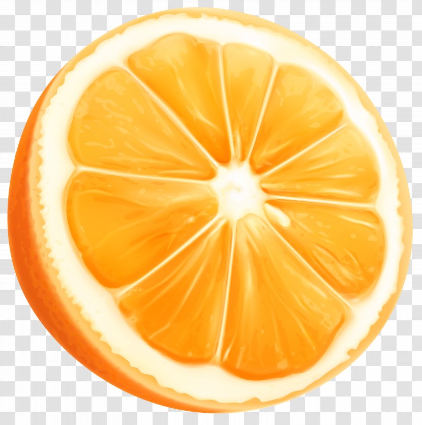 Orange Slice Clip Art - Grapefruit - Image Transparent PNG