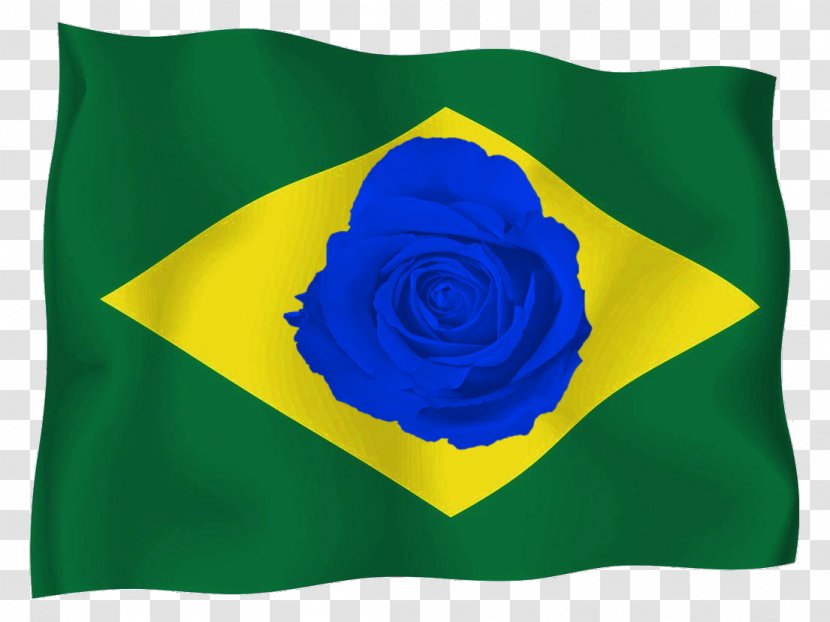 Flag Of Brazil Garden Roses Estilización - God - Petal Transparent PNG