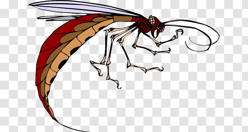 Insect Mosquito Clip Art - Wing Transparent PNG