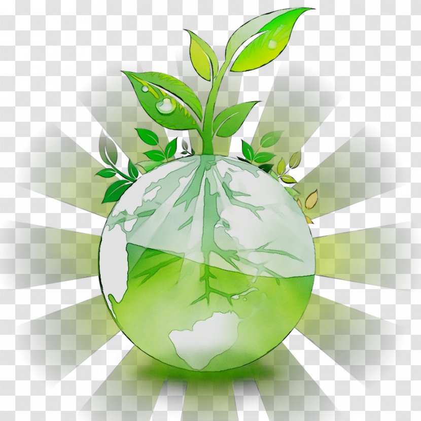 Natural Environment Clip Art Reuse Water Scarcity - Pollution - Plant Transparent PNG
