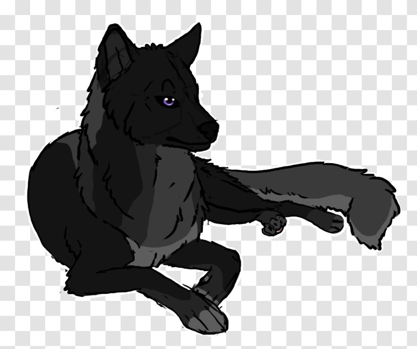 Schipperke Dog Breed Snout Fur - Black - Cat Resting Cliparts Transparent PNG