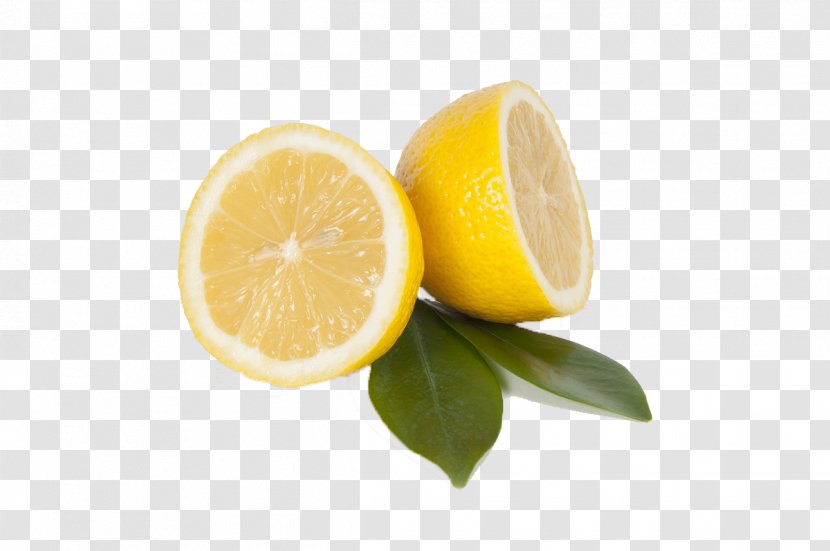 Lemon-lime Drink Citrus Junos Fruit - Food - Fresh Lemon Transparent PNG