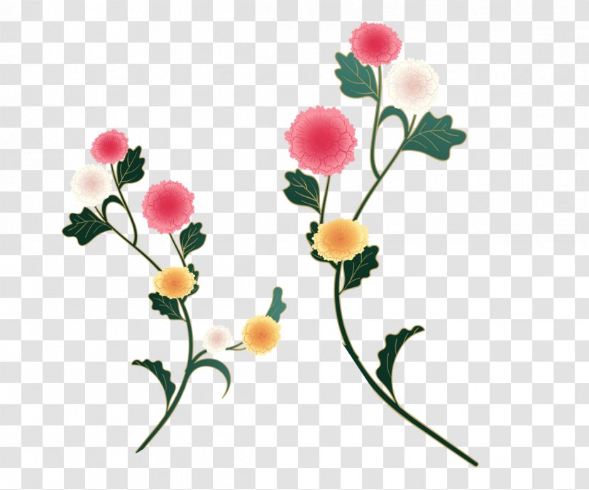Chrysanthemum Euclidean Vector - Floristry - MAK Transparent PNG
