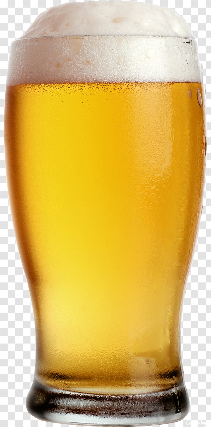 Beer Glassware Pong Drink - Glass - Image Transparent PNG
