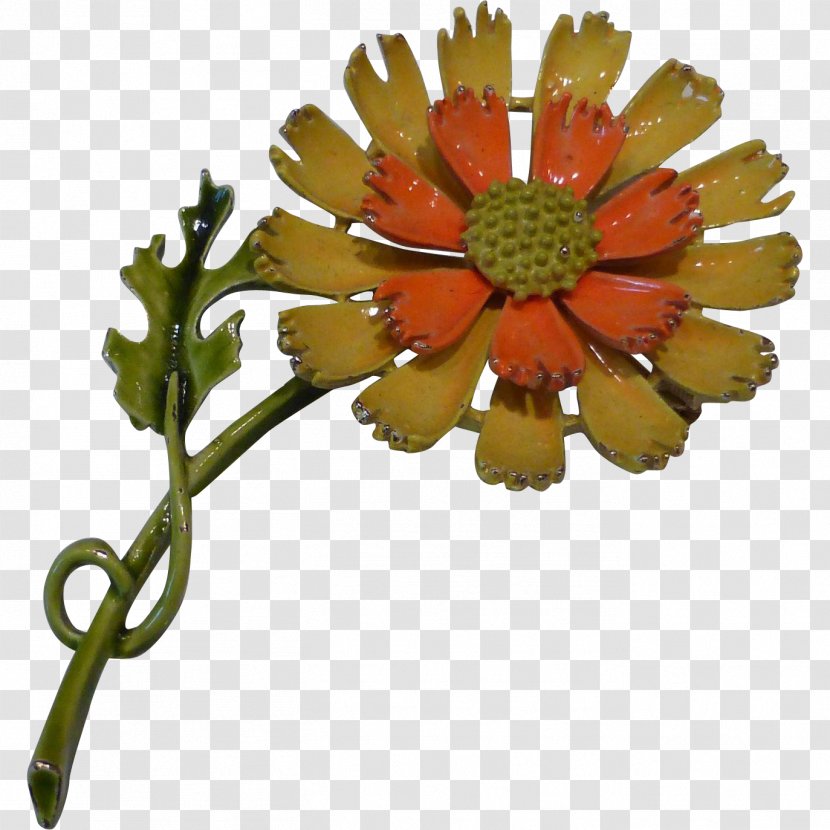 Transvaal Daisy Chrysanthemum Cut Flowers Petal - Flower Transparent PNG