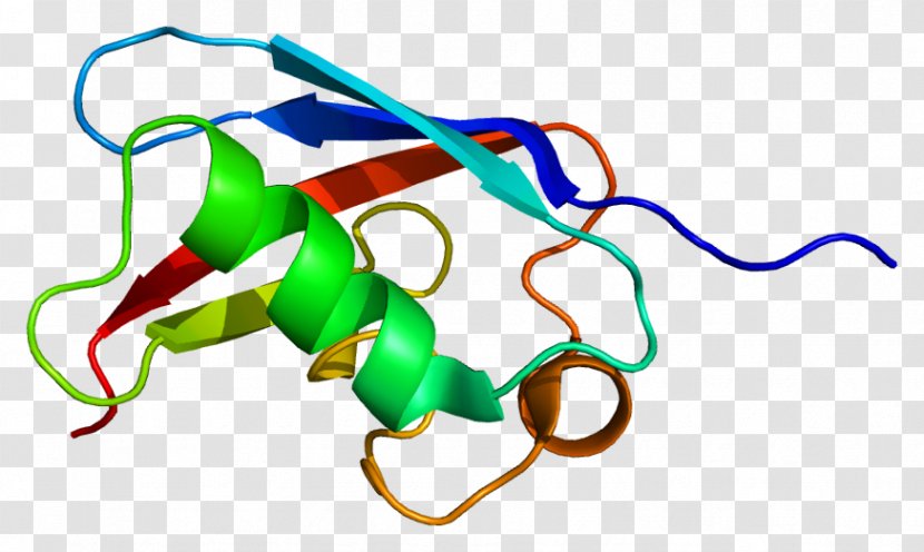 FAF1 Fas Receptor Gene Protein Ligand - Flower - Cartoon Transparent PNG