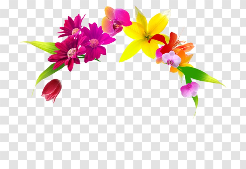 Floral Design Cut Flowers Flowerpot Plant Transparent PNG