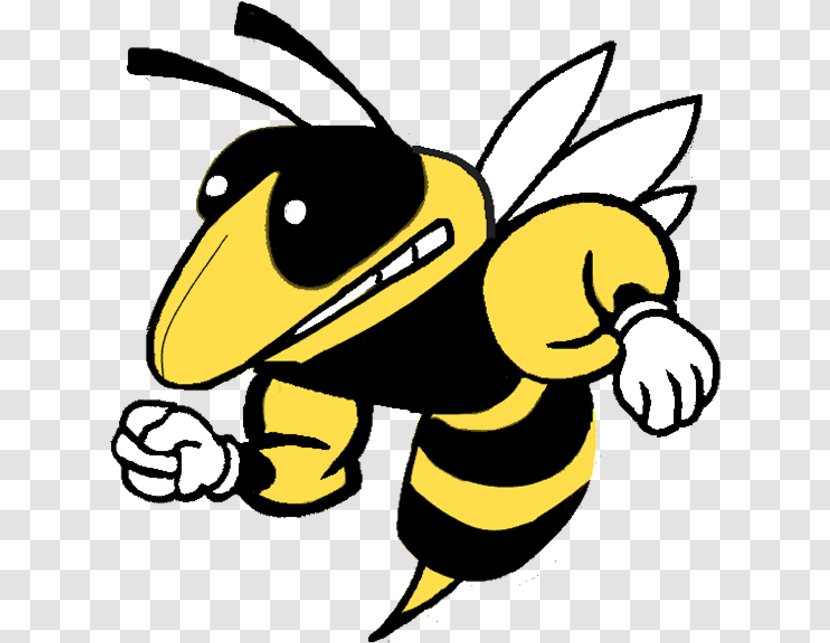American Football Background - Wasp - Carpenter Bee Pollinator Transparent PNG